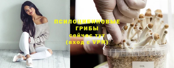 хмурый Снежинск