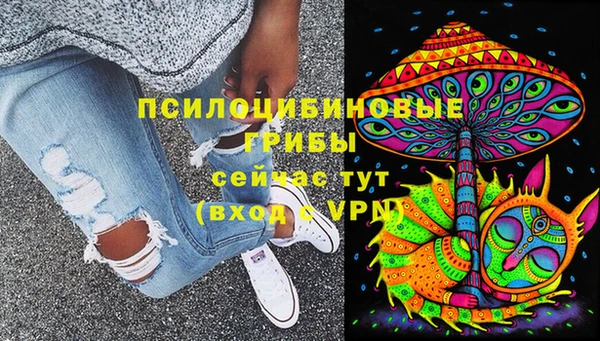 гашиш Белокуриха
