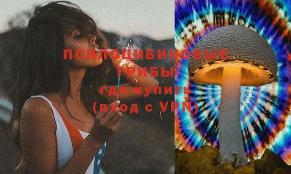 хмурый Снежинск
